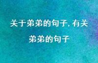 有关弟弟的句子【100句文案】 有关弟弟的句子【100句文案】