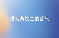 描写黄桷兰的香气【100句精选短句合集】