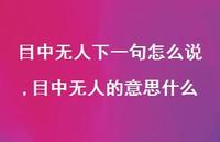 目中无人的意思什么(100句)