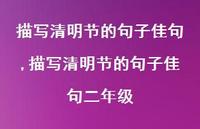 描写清明节的句子佳句二年级【精品文案100句】