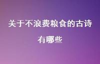 关于不浪费粮食的古诗有哪些(精选66句)