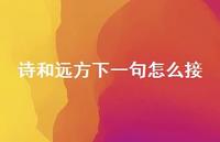 诗和远方下一句怎么接【100句精选短句合集】
