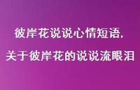 关于彼岸花的说说流眼泪(100句) 关于彼岸花的说说流眼泪(100句)