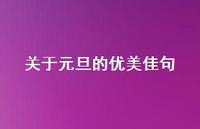 关于元旦的优美佳句(精选38句)