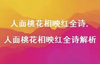 人面桃花相映红全诗解析【精品文案100句】 人面桃花相映红全诗解析【精品文案100句】
