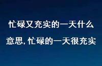 忙碌的一天很充实(100句)