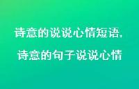 诗意的句子说说心情【100句文案】 诗意的句子说说心情【100句文案】