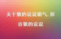 形容狼的说说【100句文案】