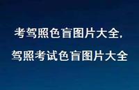 驾照考试色盲图片大全(62句)