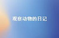 观察动物的日记56句汇总 观察动物的日记56句汇总
