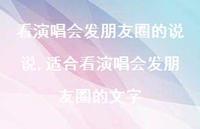 适合看演唱会发朋友圈的文字(100句)