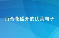 百合花盛开的优美句子(精选49句)