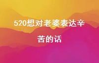 520想对老婆表达辛苦的话【100句精选短句合集】