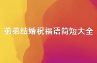 弟弟结婚祝福语简短大全合集60句精选