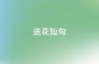 送花短句42句汇总