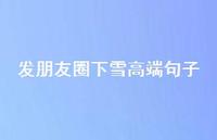 发朋友圈下雪高端句子67句汇总 发朋友圈下雪高端句子67句汇总