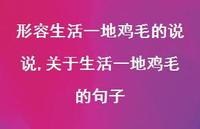 关于生活一地鸡毛的句子(100句) 关于生活一地鸡毛的句子(100句)