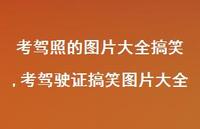 考驾驶证搞笑图片大全(100句) 考驾驶证搞笑图片大全(100句)