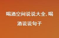 喝酒说说句子(100句)