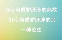 好心当成驴肝肺的另一种说法(100句)