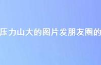 压力山大的图片发朋友圈的56句汇总