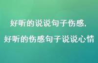 好听的伤感句子说说心情(100句) 好听的伤感句子说说心情(100句)