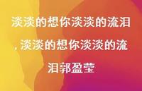 淡淡的想你淡淡的流泪郭盈莹【100句文案精选】