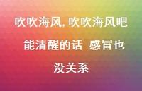 吹吹海风吧 能清醒的话 感冒也没关系【精选100句】