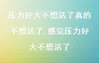 感觉压力好大不想活了(100句) 感觉压力好大不想活了(100句)