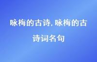 咏梅的古诗词名句【100句文案精选】