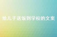 给儿子送饭到学校的文案【100句精选短句合集】 给儿子送饭到学校的文案【100句精选短句合集】