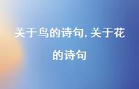 关于花的诗句【精品文案100句】