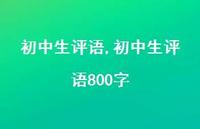 初中生评语800字【精品文案100句】