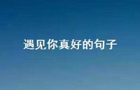 遇见你真好的句子41句汇总