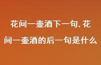 花间一壶酒的后一句是什么【精品文案100句】