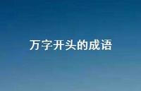 万字开头的成语(精选45句)