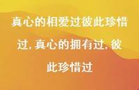 真心的拥有过,彼此珍惜过(100句)
