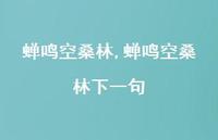 蝉鸣空桑林下一句【精品文案100句】