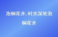 时光深处泡桐花开【89句文案精选】 时光深处泡桐花开【89句文案精选】