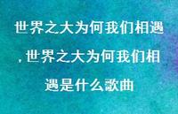 世界之大为何我们相遇是什么歌曲【100句文案精选】