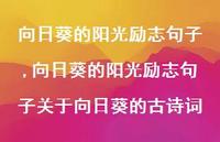 向日葵的阳光励志句子关于向日葵的古诗词【100句文案】 向日葵的阳光励志句子关于向日葵的古诗词【100句文案】