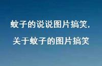 关于蚊子的图片搞笑(100句) 关于蚊子的图片搞笑(100句)