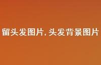 头发背景图片(100句)