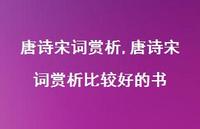 唐诗宋词赏析比较好的书【精品文案100句】 唐诗宋词赏析比较好的书【精品文案100句】