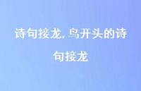 鸟开头的诗句接龙【精品文案100句】 鸟开头的诗句接龙【精品文案100句】
