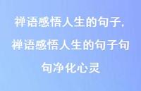 禅语感悟人生的句子句句净化心灵【精品文案100句】 禅语感悟人生的句子句句净化心灵【精品文案100句】