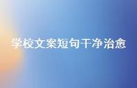 学校文案短句干净治好【100句精选短句合集】 学校文案短句干净治好【100句精选短句合集】