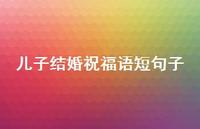 儿子结婚祝福语短句子合集73句精选
