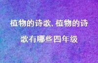 植物的诗歌有哪些四年级【100句文案精选】