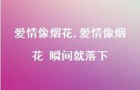 爱情像烟花 瞬间就落下【100句文案】 爱情像烟花 瞬间就落下【100句文案】